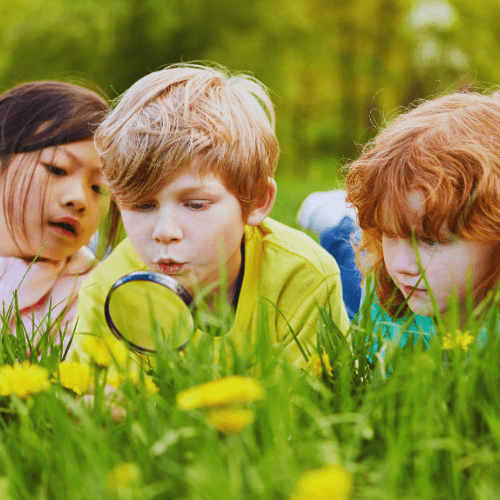 rei Kinder erkunden eine grüne Landschaft. Sie liegen auf einer Wiese, umgeben von Bäumen und Natur, und wirken neugierig und abenteuerlustig.